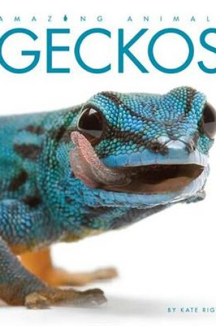 Cover of Amazing Animals Geckos