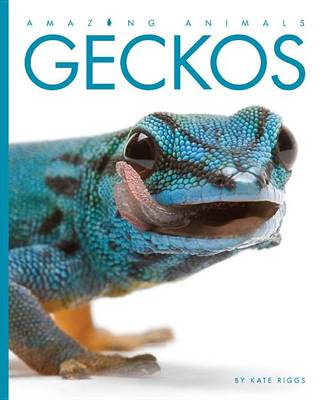 Book cover for Amazing Animals Geckos