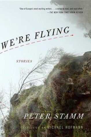 Cover of We're Flying