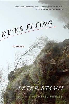 Book cover for We're Flying