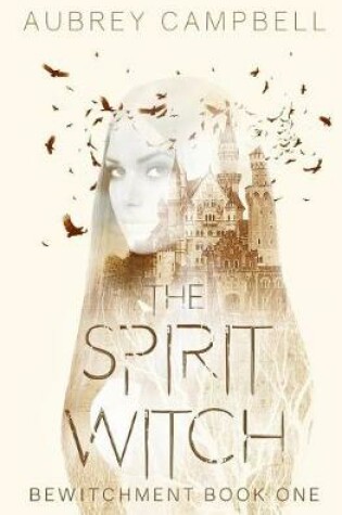 Cover of The Spirit Witch