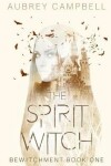 Book cover for The Spirit Witch