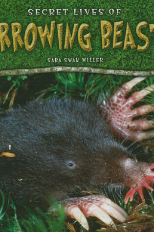 Cover of Secret Lives of Burrowing Beasts