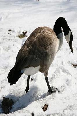 Book cover for Journal Snow Goose Winter