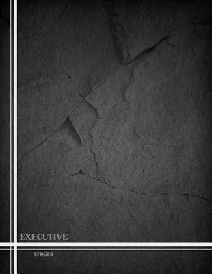 Book cover for Executive Ledger