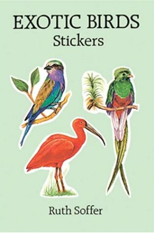 Cover of Exotic Birds Stickers