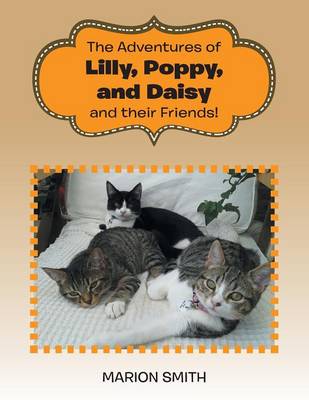 Book cover for The Adventures of Lilly, Poppy, and Daisy and their Friends!