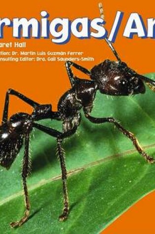 Cover of Hormigas/Ants