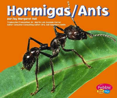 Book cover for Hormigas/Ants
