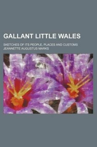 Cover of Gallant Little Wales; Sketches of Its People, Places and Customs