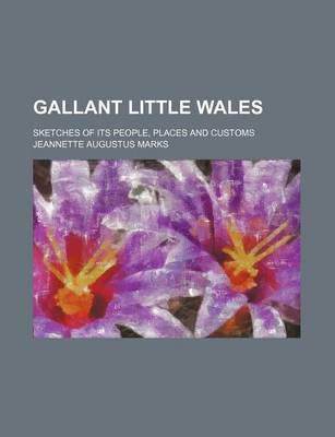 Book cover for Gallant Little Wales; Sketches of Its People, Places and Customs