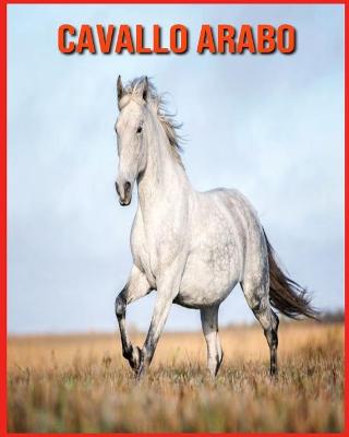 Book cover for Cavallo Arabo