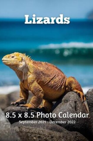 Cover of Lizards 8.5 X 8.5 Photo Calendar September 2021 -December 2022