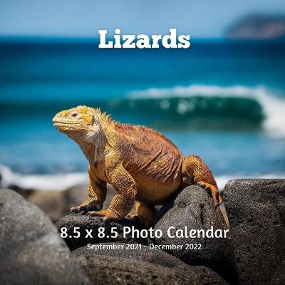 Book cover for Lizards 8.5 X 8.5 Photo Calendar September 2021 -December 2022