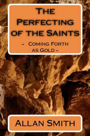 Cover of The Perfecting of the Saints