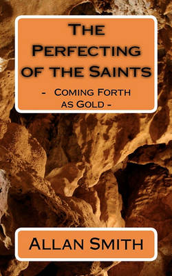 Book cover for The Perfecting of the Saints