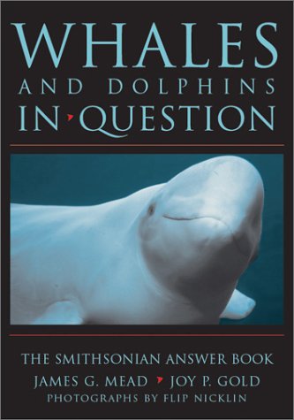 Book cover for Whales and Dolphins in Question