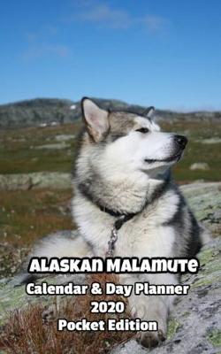 Book cover for Alaskan Malamute Calendar & Day Planner 2020 Pocket Edition