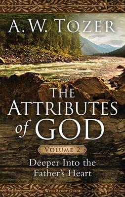 Book cover for The Attributes of God Volume 2