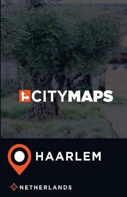 Book cover for City Maps Haarlem Netherlands