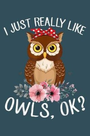 Cover of .I just really like owls ok