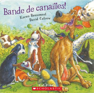 Book cover for Bande de Canailles