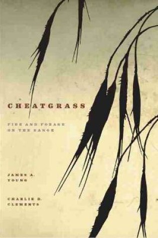 Cover of Cheatgrass