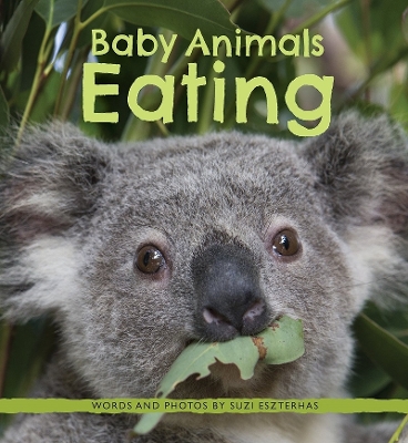 Book cover for Baby Animals Eating