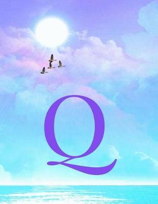 Book cover for Q