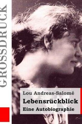 Cover of Lebensrückblick (Großdruck)