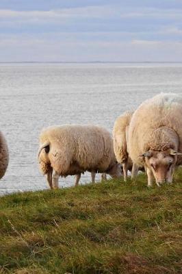 Book cover for Grazing Sheep by the Water in The Netherlands Journal