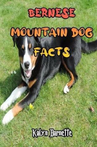 Cover of Bernese Mountain Dog Facts