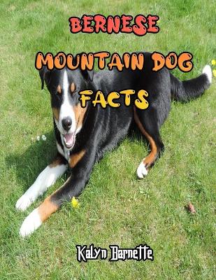 Book cover for Bernese Mountain Dog Facts