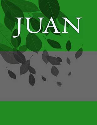 Book cover for Juan