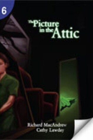 Cover of The Picture in the Attic: Page Turners 6