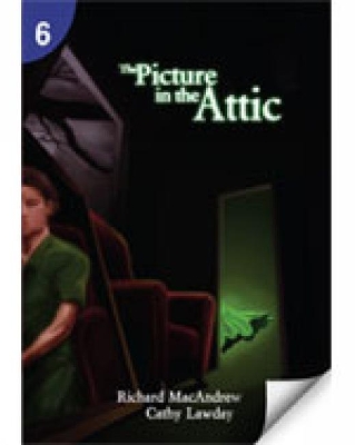 Book cover for The Picture in the Attic: Page Turners 6