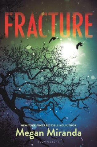 Cover of Fracture