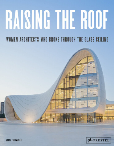 Book cover for Raising the Roof