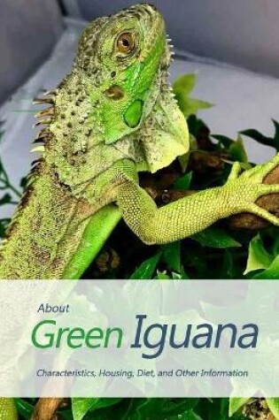 Cover of About Green Iguana