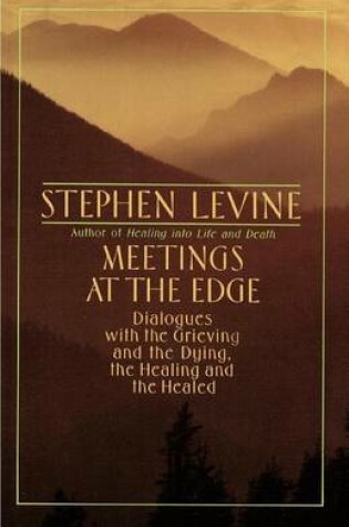 Cover of Meetings at the Edge