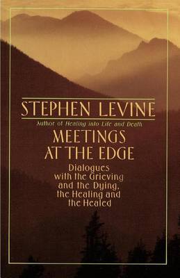 Book cover for Meetings at the Edge