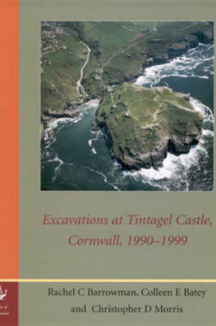 Cover of Excavations at Tintagel Castle, Cornwall, 1990-1999