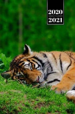 Cover of Tiger Week Planner Weekly Organizer Calendar 2020 / 2021 - Short Nap