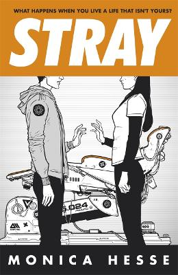 Cover of Stray