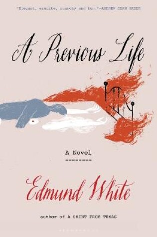 Cover of A Previous Life