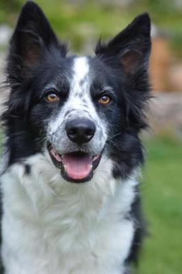 Book cover for Happy Border Collie Dog Journal