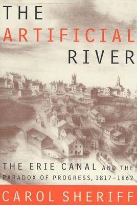 Book cover for The Artificial River