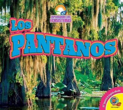 Cover of Los Pantanos