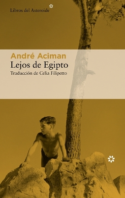Book cover for Lejos de Egipto