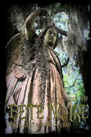 Cover of Bete Noire Issue #17